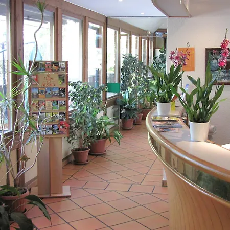 Hotel Le Caballin Vogelgrun