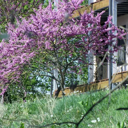 Le Caballin Ξενοδοχείο Vogelgrun
