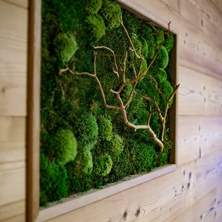 Le Caballin 3* Vogelgrun