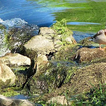Le Caballin 3* Vogelgrun
