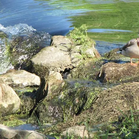 Hotel Le Caballin Vogelgrun
