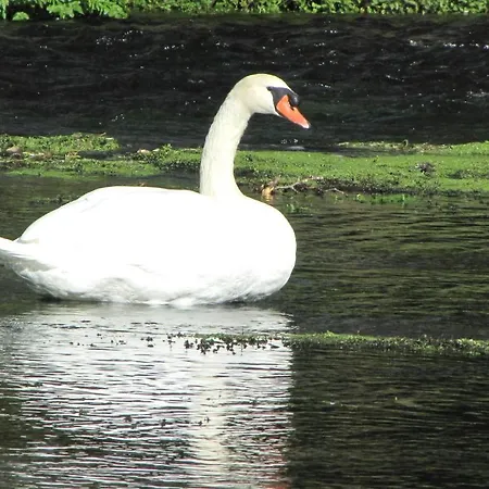 Le Caballin 3* Vogelgrun